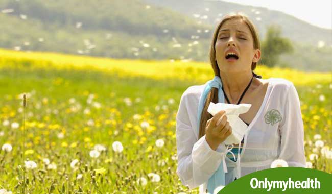 मौसमी एलर्जी से होने वाले 'हे फीवर' से बचने के लिए बरतें ये सावधानियां